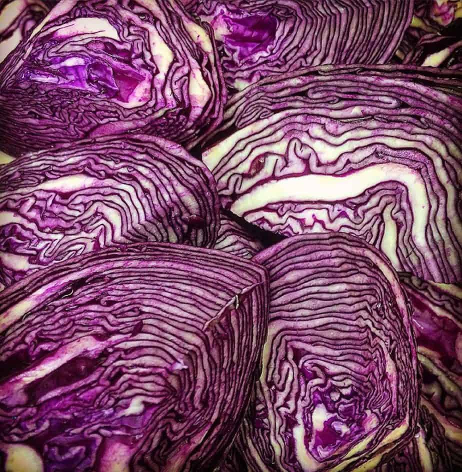 Veganuary at Fordhall Organic Farm