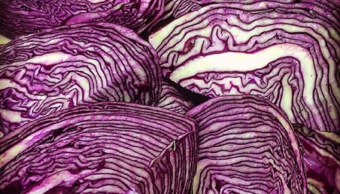 Veganuary at Fordhall Organic Farm