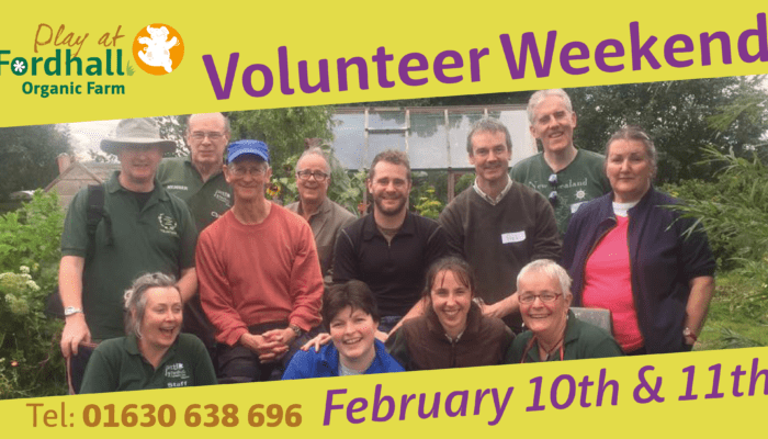 Volunteer Weekend at Fordhall Farm