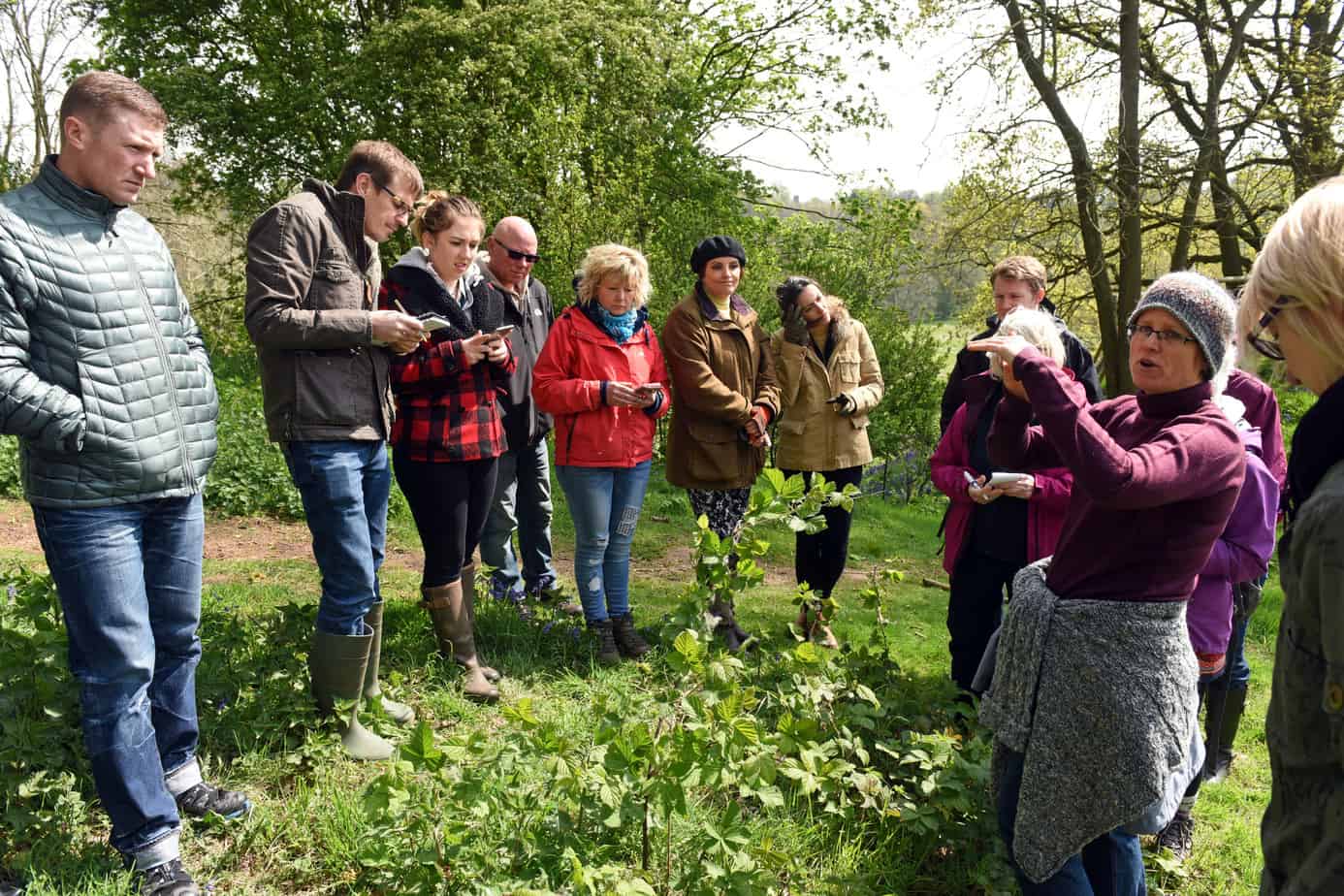 Spring Foragings – Meander & Meal