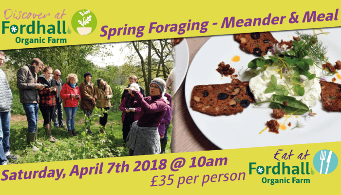 Spring Foragings – Meander & Meal