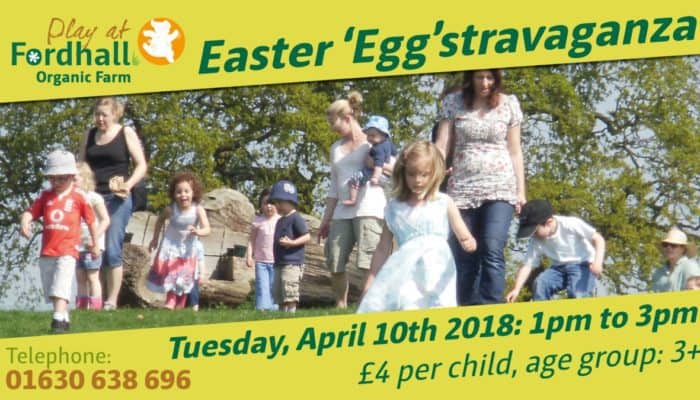 Easter 'Egg'stravaganza