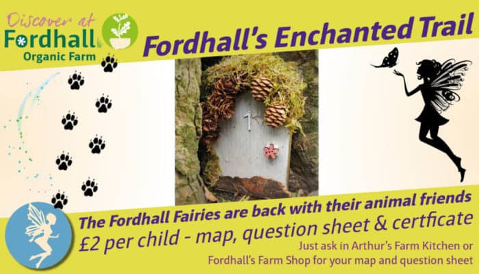 Enchanted Trail
