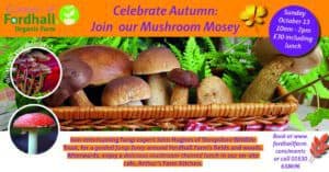 Mushroom Mosey @ Fordhall Organic Farm | United Kingdom