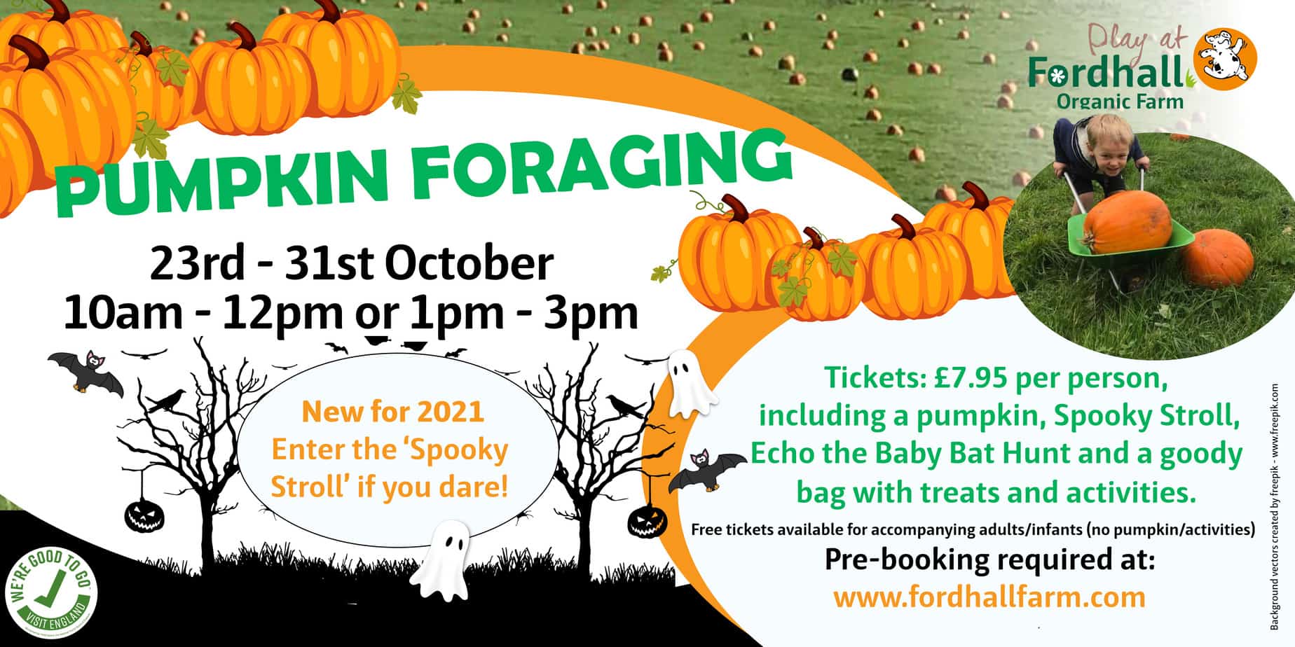 Fordhall Farm Pumpkins 2021 Shropshire
