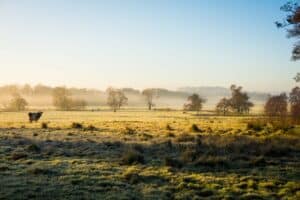 Feel Good Friday @ Fordhall Organic Farm | Tern Hill | England | United Kingdom