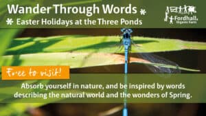 Wander Through Words @ Fordhall Organic Farm | Tern Hill | England | United Kingdom