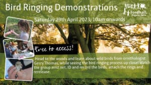 Bird Ringing Demonstrations @ Fordhall Organic Farm | Tern Hill | England | United Kingdom