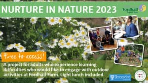 Nurture in Nature - Handmade bird boxes and bird feeders @ Fordhall Organic Farm | Tern Hill | England | United Kingdom