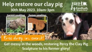 Help to restore our clay pig sculpture - FREE drop in event @ Fordhall Organic Farm | Tern Hill | England | United Kingdom