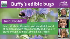 Buffy's Edible Bugs @ Fordhall Organic Farm | Tern Hill | England | United Kingdom