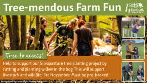 Tree-mendous Farm Fun @ Fordhall Organic Farm | Tern Hill | England | United Kingdom